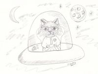 Space Kitty